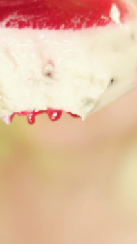 Eating in Braces, Food Fetish Video Devour