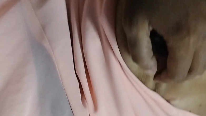 Mannirkuok: Ze weet hoe ze me gelukkig moet maken