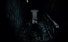Senhora D escada cockriding