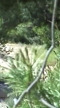 Seks solo gadis remaja di bukit pasir mallorca