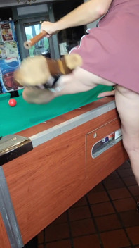 Gaping Pool Slut