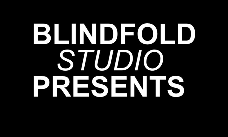 Blindfold official: 助理