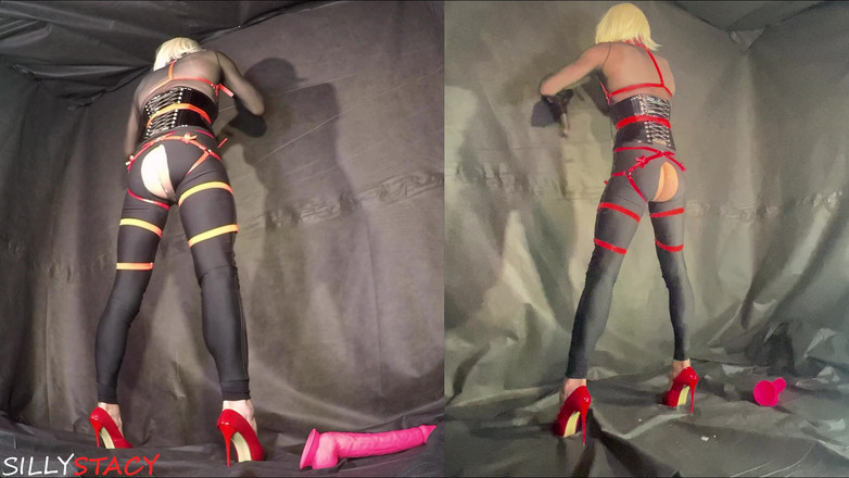 sillystacy: Kereta Banci