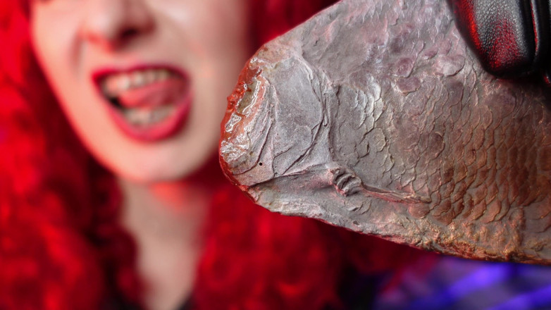 Arya Grander: ASMr mangia cioccolato alimentare