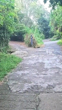 Thủ dâm trên đường mòn