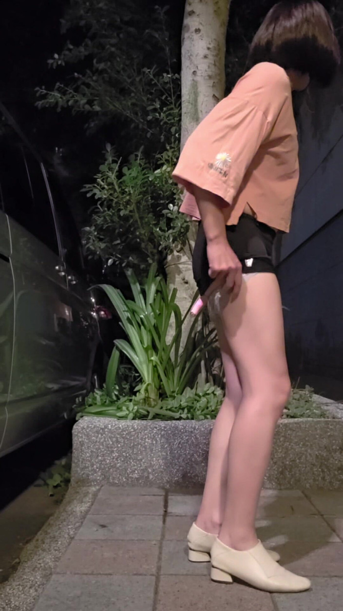 Taiwancdgirl: Intrattenimento all'aperto della pseudo-ragazza Tingxuan, masturbazione con un bastone da...