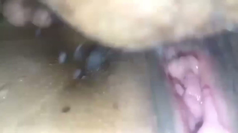 Sano lado: Festival special cele mai recente nepaleză Sali Vena Danshai Video...