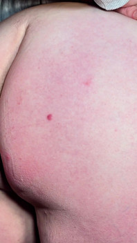 La moglie con il culo rotondo a pecorina - squirto un sacco di sperma.4k