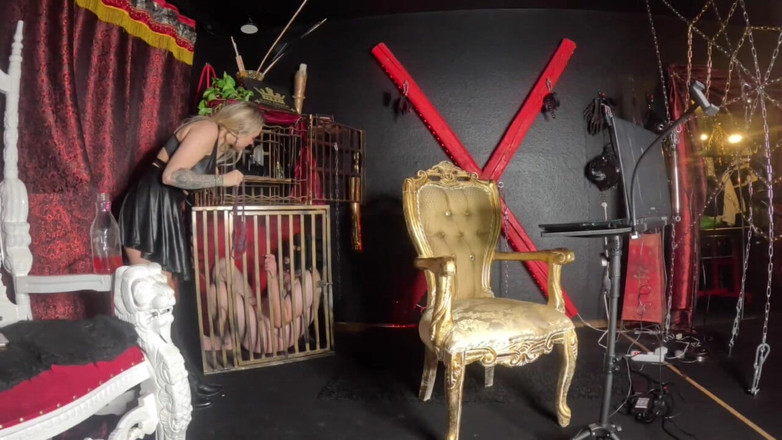 Queen_of_BDSM: Dein Neues Zuhause Ist Das Kaefig!