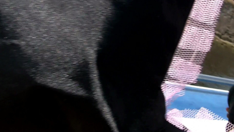 Dirty fantasy: Trzy przyrodnie siostry uprawiają lesbijski seks na łodzi