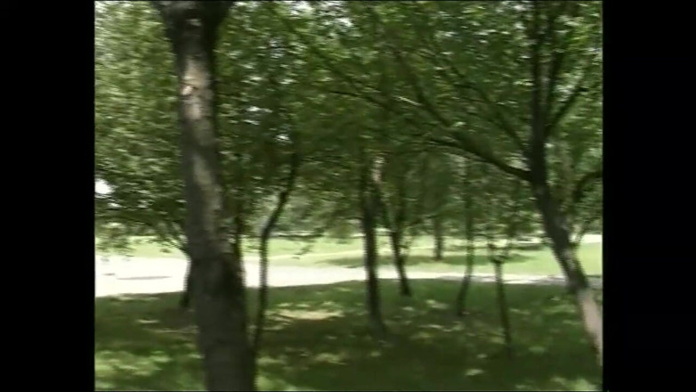 The hunters TV - (The best full movies xxx): ทุกคนพึงพอใจหมด