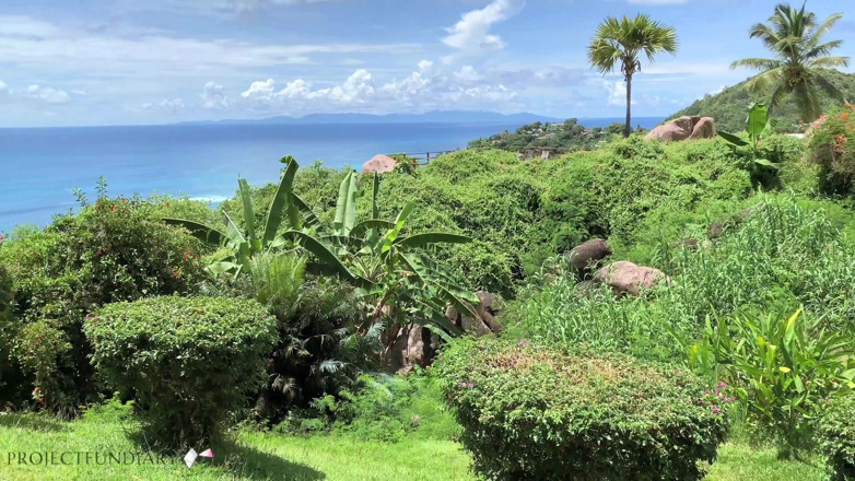 Projectsexdiary: Coppia luna di miele pressata tette alla finestra