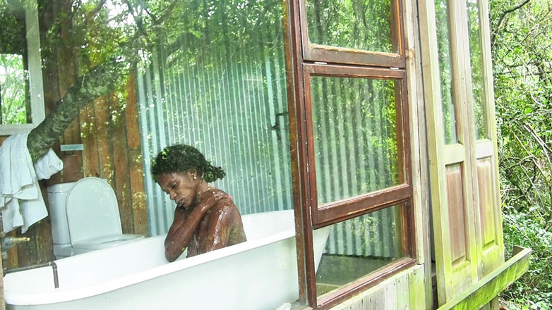 Black Swan: Nezkrotná v korunách stromů