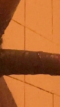 Ethiopian Sex