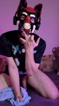 Playful Pup Jerks and Cums in Every Pose