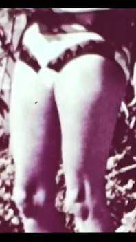 Vintage porno retro erotické divadlo - divoký sex 5