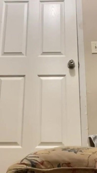 Piss Professional 3