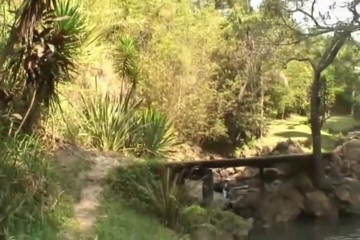 She-Male X: Anal Constriction for a she-male in Brazil - (NO CONDOM)