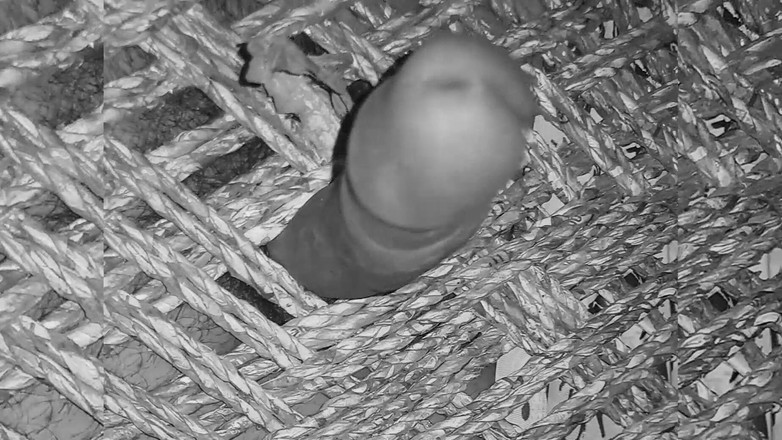 Desi_Porn_India: Young Indian Boy Showing His Hard Dick.