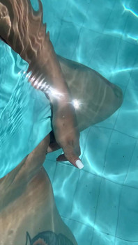 I Had an Orgasm in the Outdoor Pool