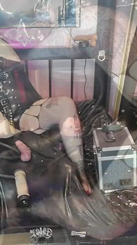 Ecstasy in Chastity 2