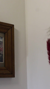 Dusting Picture