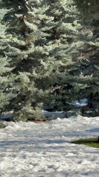 Adamlar kartopu oynarken kendini kaptırdı ve seks için parkta küçük bir odaya çekildi.