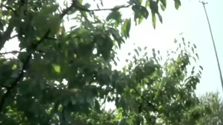 Crunch Boy: Уличное секс-видео в эксгиби возле дороги