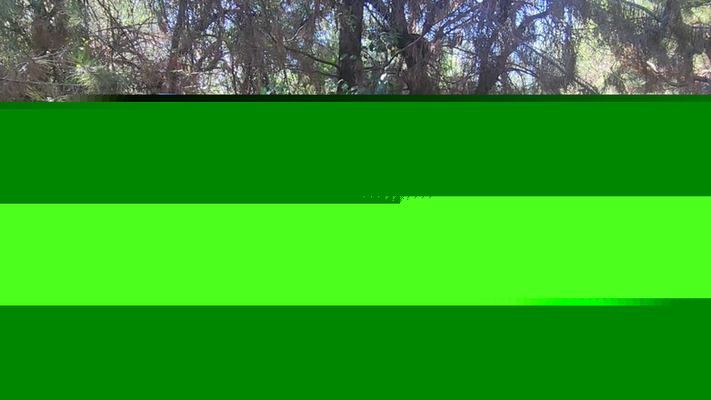 Riderqueen BBW Step Mom Latina Ebony: 혼자 있는 라이더, 야외, 팬들을 위한 비디오