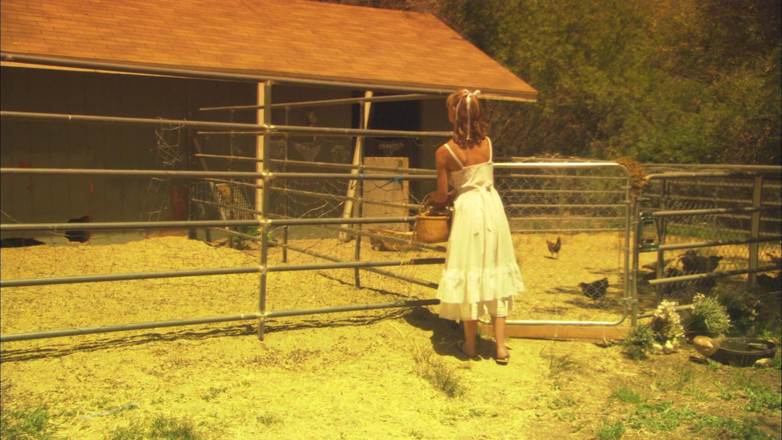 Horny Farmers: Don't break my heart, but please break my cunt!