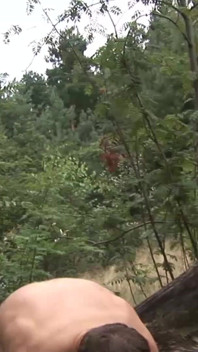 Amazing sex in the wood