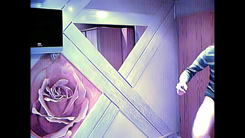 Mark Hannes: 정자 은행을 위해 자위하는 착유 정자