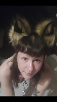 Im Your Pet
