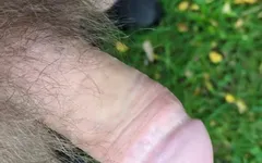 Nature Calling