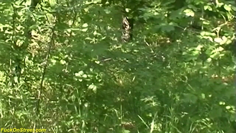 Goldwin pass: Sweet german teen picked up for rough outdoor fucking