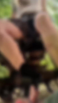 Brzy Paní z lesa: Podřízení pod chodidly.