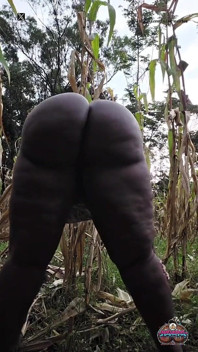 Shaking It Outside in the Village Maize Plantation