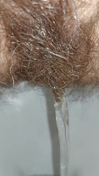 Frau, Goldene Dusche, Behaartes Pinkeln