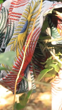 Sehr schwarzer mann aus uganda fickt teen freundin mit großen möpsen in ihrem land
