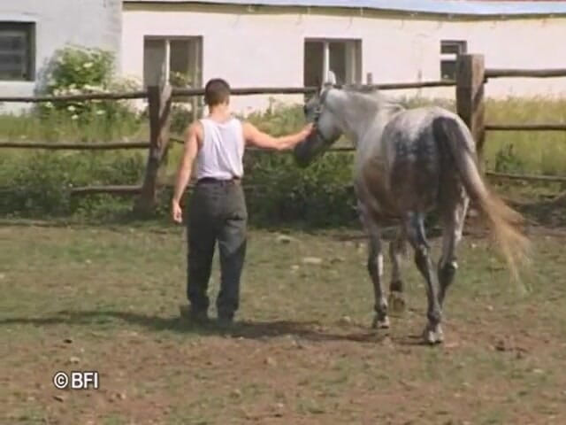 Just Boys: Dvd gay de vacaciones