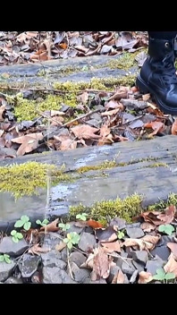 Pee Compilation 2024