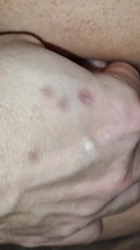 I Fuck Myself with My Dick with the Help of a Friend From College! I Want to Learn Self-fucking.