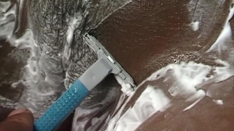 Bangora MILFs: Insatiable Ebony MILF Shaved Smooth Before Double Teaming