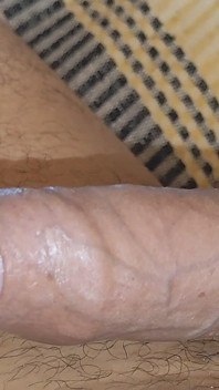Curvilinear Pulsation of the Robust Cummed Limb