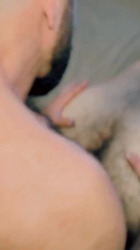 Addomesticare l'orso
