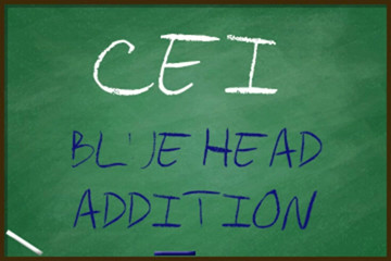 Campsissyboi: AUDIO ONLY - CEI blue head addition