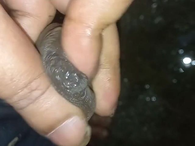 Tight Foreskin Phimosis Cock Closeup Pissing and Jerking (Lustyizlife)