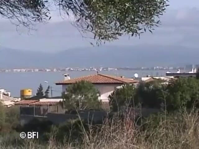 Amazing asses and pussies: Mallorca