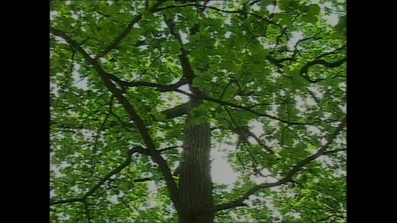 FM Video VOD: Peníze a na lásku 