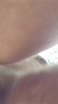 爸爸在树林里操我
